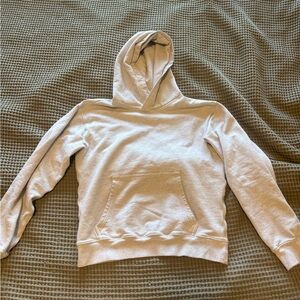 Aritzia Terry Sweatfleece Perfect Hoodie (1/2)